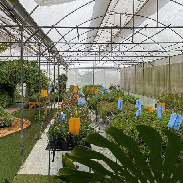Phuean Suan Farm • Tap Ma, Rayong