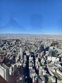 東京高229米的展望台