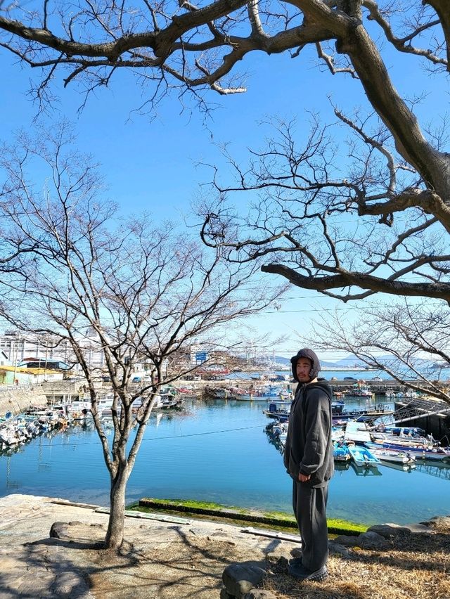 이순신장군님이 거북선을 숨겼다는 사천항구