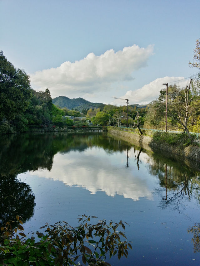 京都嵐山渡月橋—和服👘初體驗