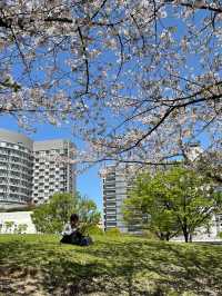 🇯🇵 大阪 🌸 扇町公園的松弛感