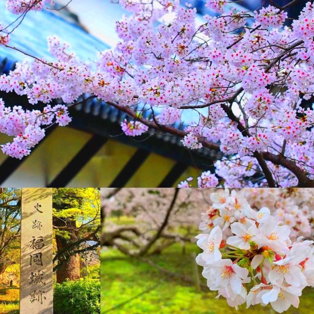 福岡