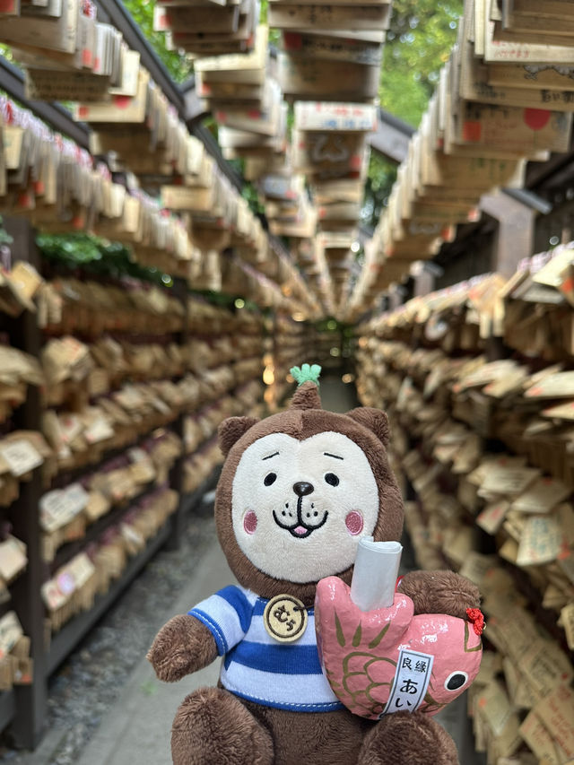 掘蕃薯釣鯛魚護身符的川越冰川神社⛩️🥰