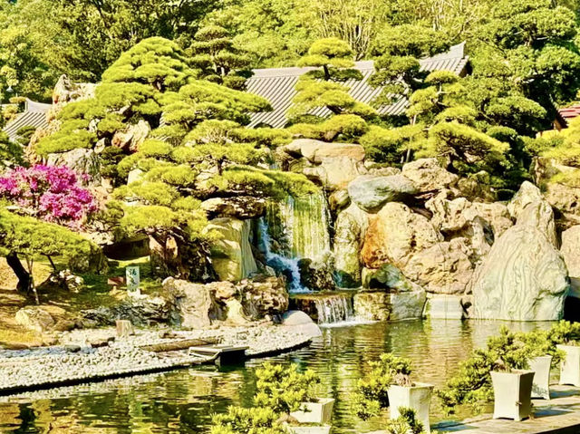 Blooming Beauty - Spring Hike at Nan Lian Garden