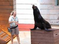 Taronga Zoo Sydney