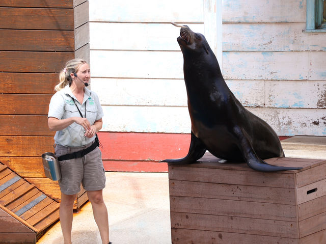 Taronga Zoo Sydney