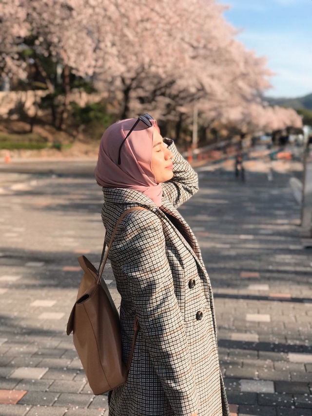 Late cherry blossom bloom at Seoul Grand Park 🩷🌸