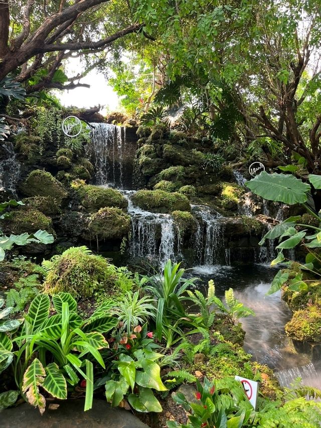คาเฟ่สวยมากกก