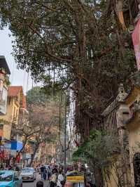 🇻🇳 Hanoi: The Old Quarter and the Captivating Street Chaos 🏮 