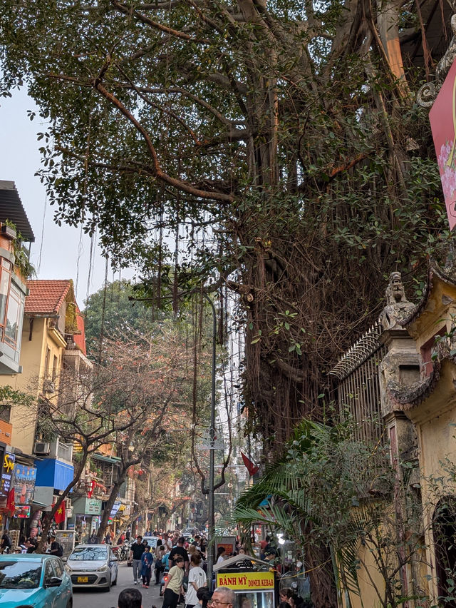 🇻🇳 Hanoi: The Old Quarter and the Captivating Street Chaos 🏮 