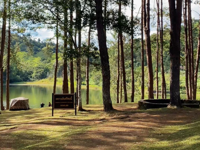 Pang Ung Camp Site - ลานกางเต็นท์ปางอุ๋ง
