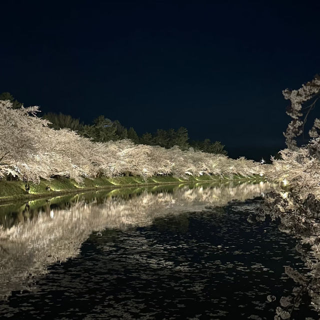 亮齋川~夜櫻之美