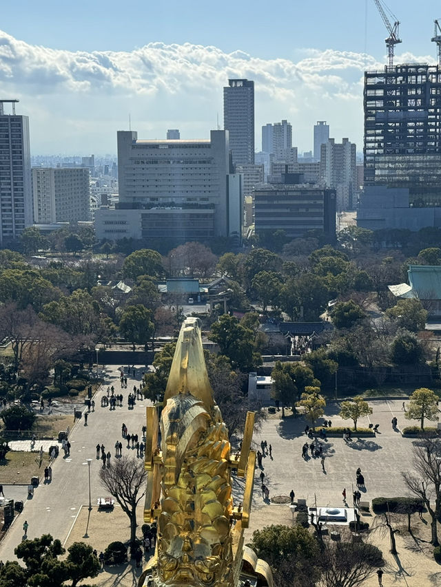 大阪城公園紅葉散策：金黃與朱紅的歷史畫卷🍁🏯 