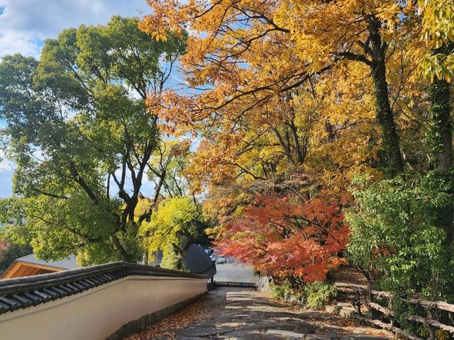 文藝 . 四國村