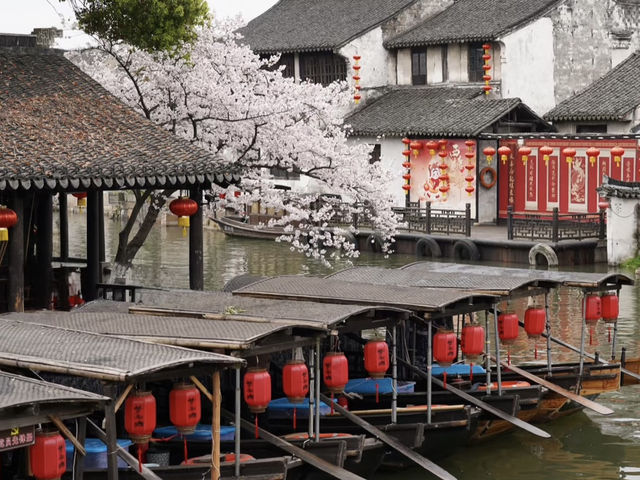 Chasing Jay Chou’s Footsteps: A Dreamy Morning in Xitang Under Cherry Blossoms