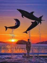 人生で出会った最高の水族館🪸私のTOP1！