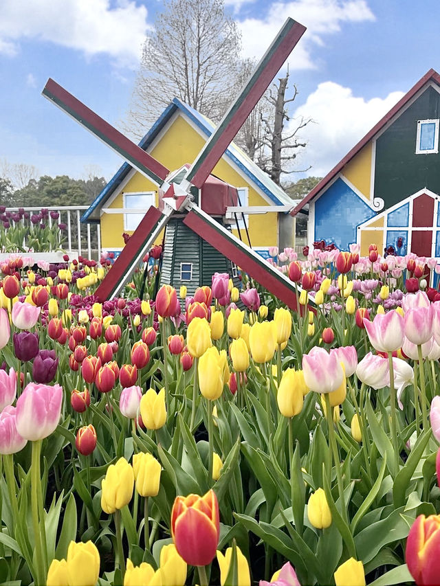 Spring at Kiso Sansen Park🌷