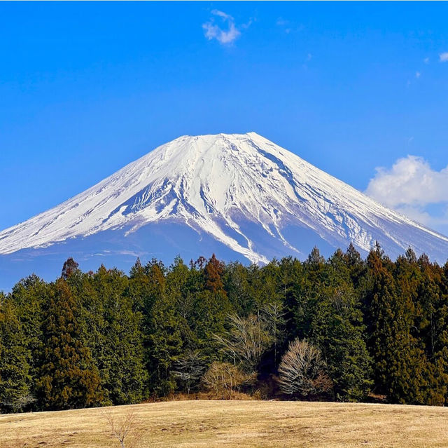 富士山 (Mount Fuji) – 日本の象徴的な絶景スポット