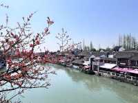 上海朱家角古鎮旅遊攻略