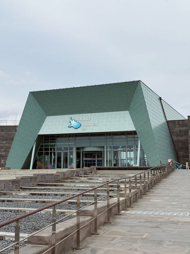 아이와 제주 여행 중 특별한 경험을 찾고 있다면?