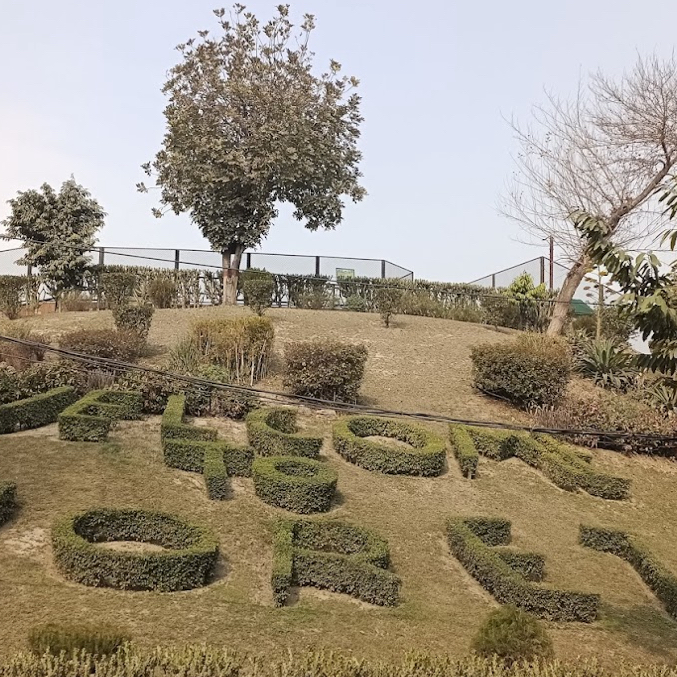 #March2025 Lahore Zoo**
📍 **Location**: On The Mall Road, next to the Lahore Museum
🚌 **Transportation**: Take the subway to Lahore Zoo Station and walk for 5 minutes
🍴 **Nearby food**:
· **Zoo Cafe**: Freshly squeezed juices and fried chicken burgers
· **Zoo View Restaurant**: You can dine while watching giraffes
🌟 **What to play**:
One of the oldest zoos in South Asia, Bengal tigers and Asiatic lions are the star animals! You can ride ponies in the children's area. There are many family tourists on weekends. It is recommended to come on weekdays in the morning to avoid the crowds. 
