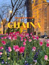 𝑺𝒉𝒂𝒏𝒈 𝑯𝒂𝒊 (上海) 🌷The Bund x ดอกทิวลิป