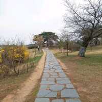 Ilsan Lake Park – A City Retreat in Full Bloom