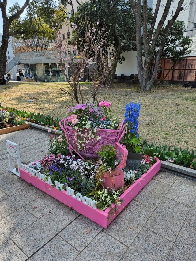후쿠오카 텐진중앙공원💕