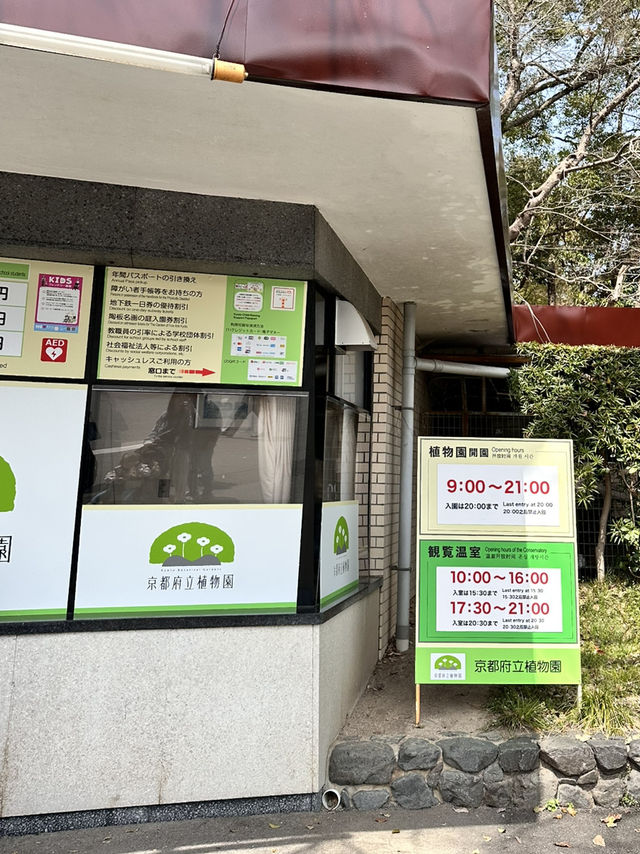 【京都】綺麗なお花に癒される子どもも嬉しいピクニックスポット
