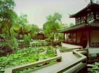 Serenity in Suzhou