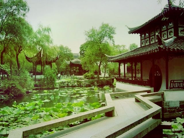 Serenity in Suzhou