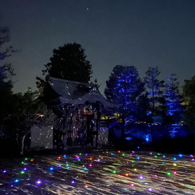 Kodaiji's Spring Illumination Night Show