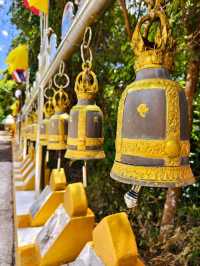 The Shimmering Sanctuary of Hat Yai