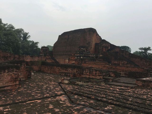 🇮🇳 世上第一所大學+祇園精舍