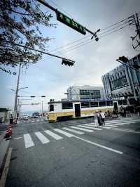 Having Moment in Busan 