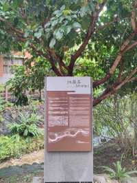 #北投公園-臺北市北投區