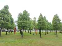 #大溪河濱公園-桃園市大溪區