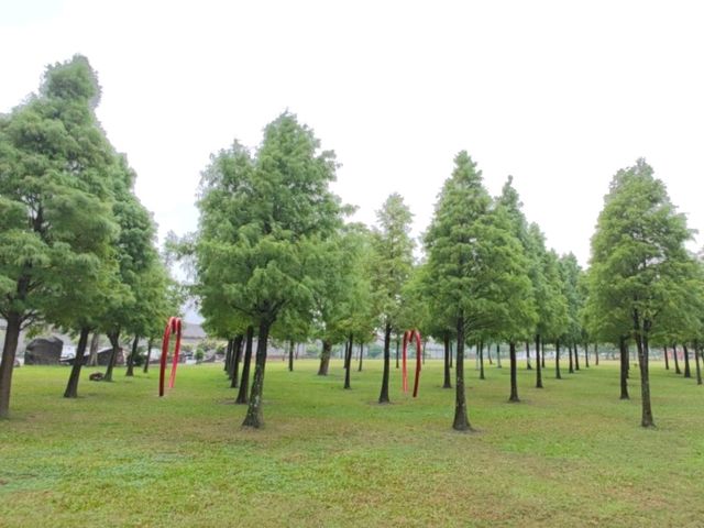 #大溪河濱公園-桃園市大溪區