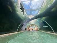 Adventure Cove Waterpark