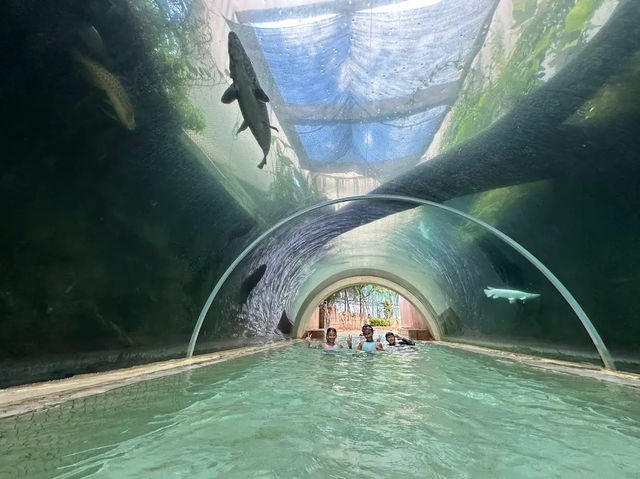 Adventure Cove Waterpark