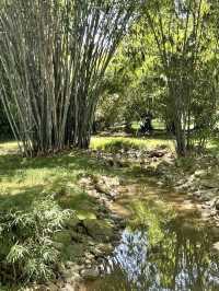Guangzhou Botanical Garden A Lush, Living Museum in the Heart of the City