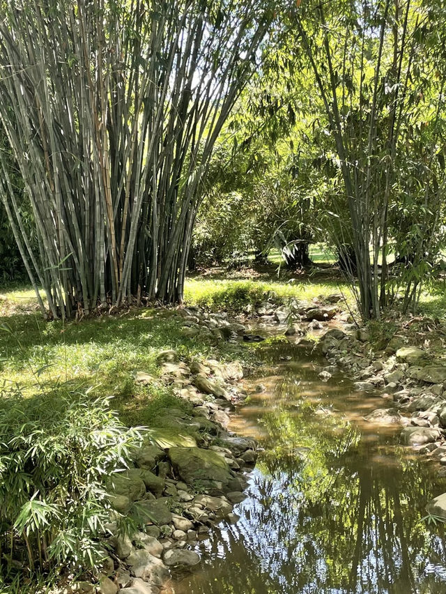 Guangzhou Botanical Garden A Lush, Living Museum in the Heart of the City