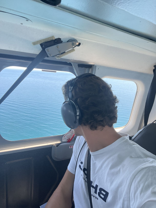 Soar Above the Ocean: Kaikōura’s Whale Watching by Plane