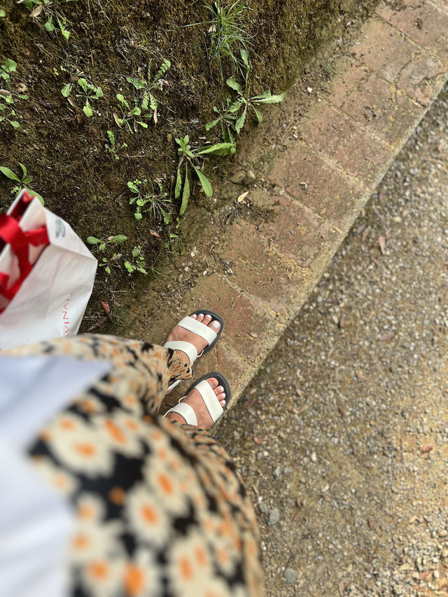 🌳 피렌체에서 가장 품격 있는 산책길, 보볼리 가든 (Giardino di Boboli)