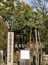 Spring Visit to Mishima Taisha – A Cherry Blossom Delight