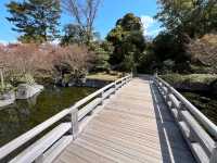 名古屋-德川園賞櫻，徜徉於江戶時代的池泉回遊式庭園