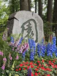 Snapdragons & Serenity: Spring Stroll in Taiziwan Park