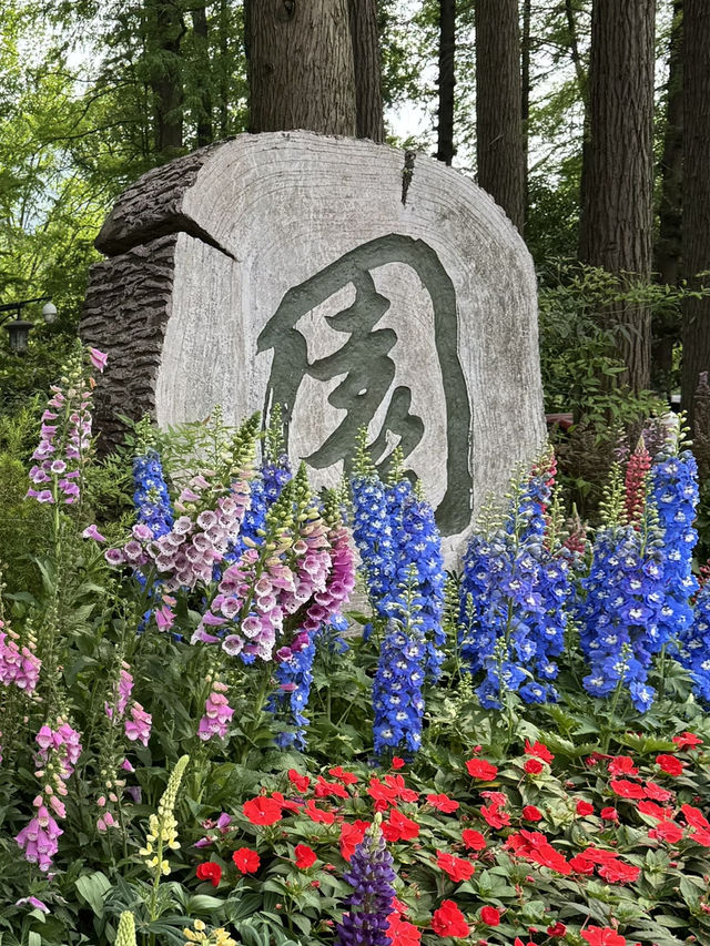 Snapdragons & Serenity: Spring Stroll in Taiziwan Park