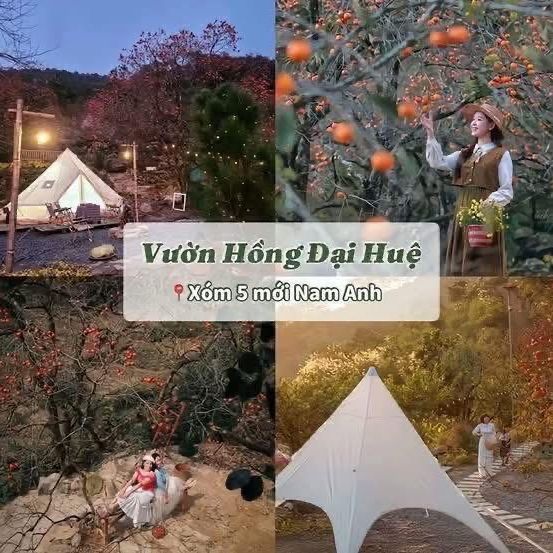 Du lịch NGHỆ AN