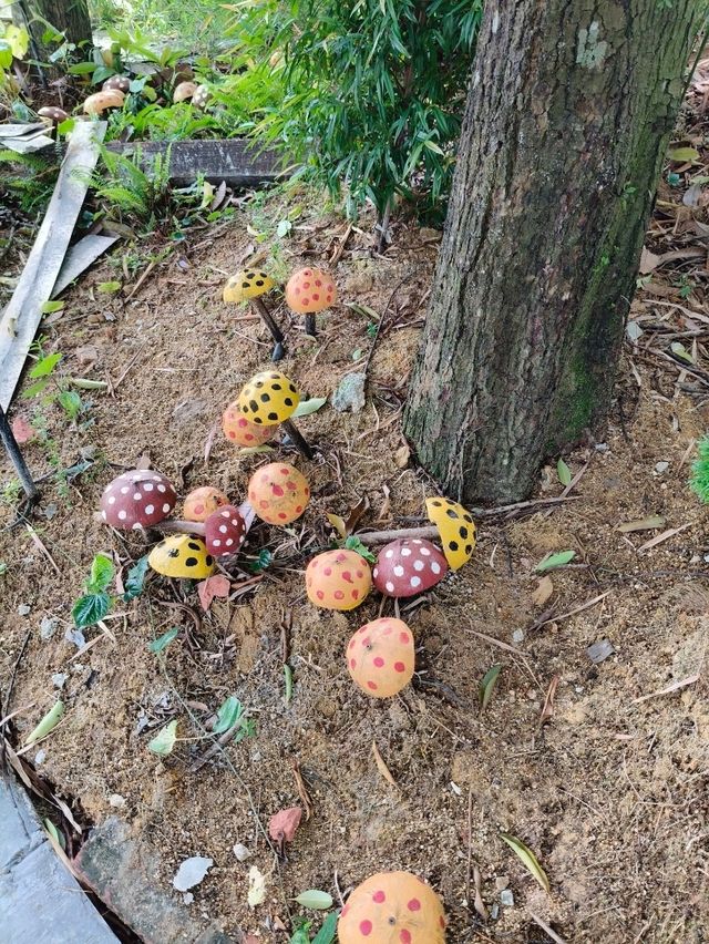 🧙 An Unexpected Journey in Putrajaya: Finding Bilbo’s House in Malaysia